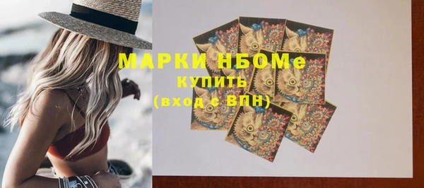 шишки Богородск