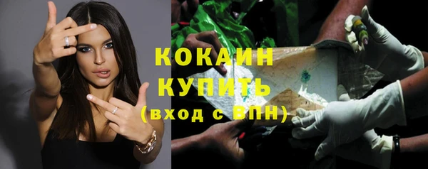спиды Богданович