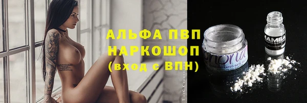 спиды Богданович