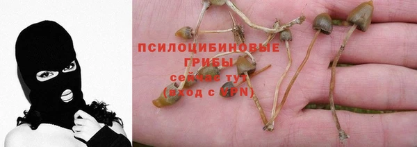 шишки Богородск