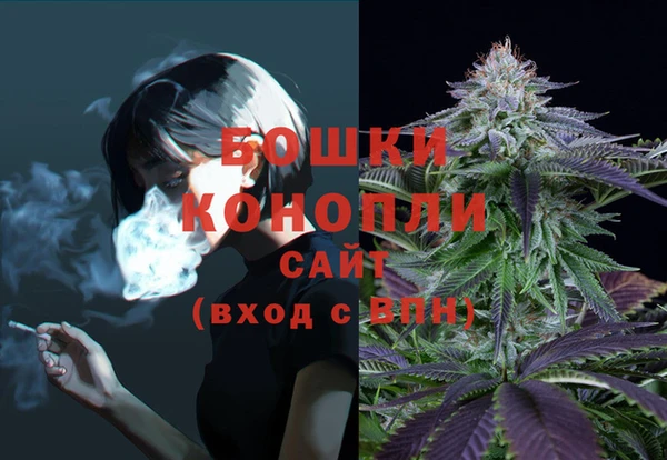 шишки Богородск