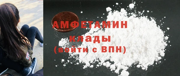 шишки Богородск